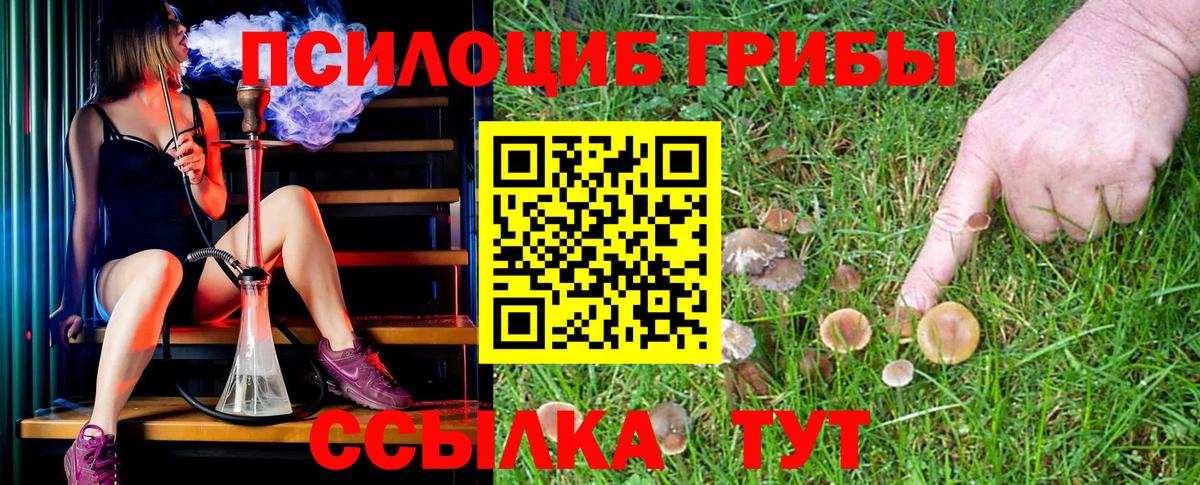 Печора  Галлюциногенные грибы прущие грибы  что такое наркотик  Вход с VPN 